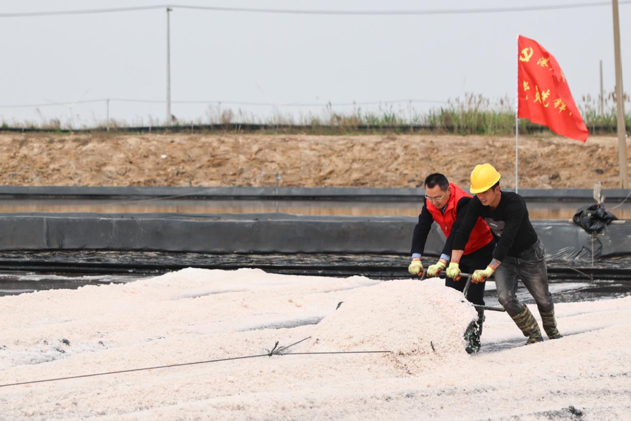 港產(chǎn)黨支部開展&ldquo;鹽話初心 行擔使命&rdquo;2.jpg